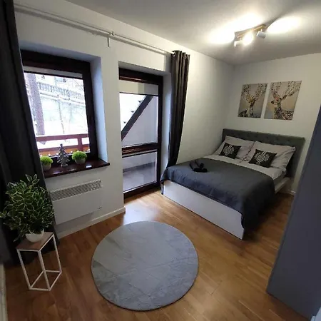 Pod Brzyzkiem&spa Apartament Zakopane